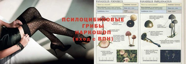эйфоретик Заводоуковск