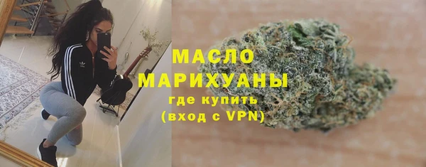 шишки Заволжск