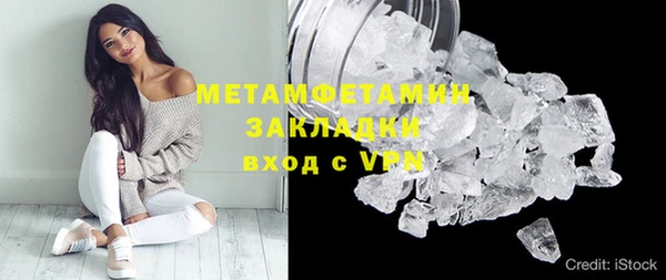 шишки Заволжск