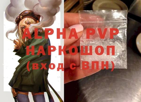 шишки Заволжск