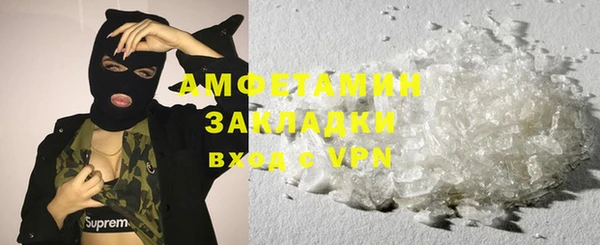 шишки Заволжск