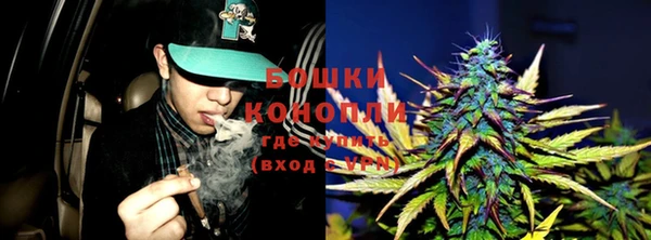 шишки Заволжск