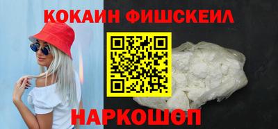крисы Кулебаки