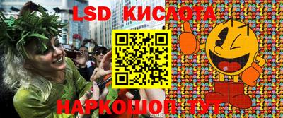 крисы Кулебаки