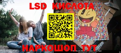 крисы Кулебаки
