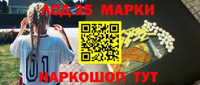 крисы Кулебаки