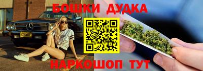 крисы Кулебаки