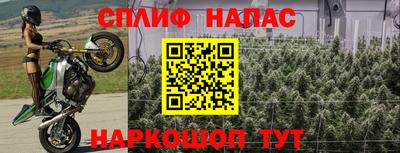 крисы Кулебаки