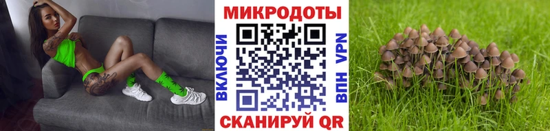 где найти наркотики  кракен ТОР  Псилоцибиновые грибы MAGIC MUSHROOMS  Каменск-Шахтинский 