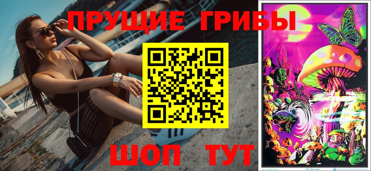 Псилоцибиновые грибы прущие грибы  Вход с VPN  Каменск-Шахтинский 