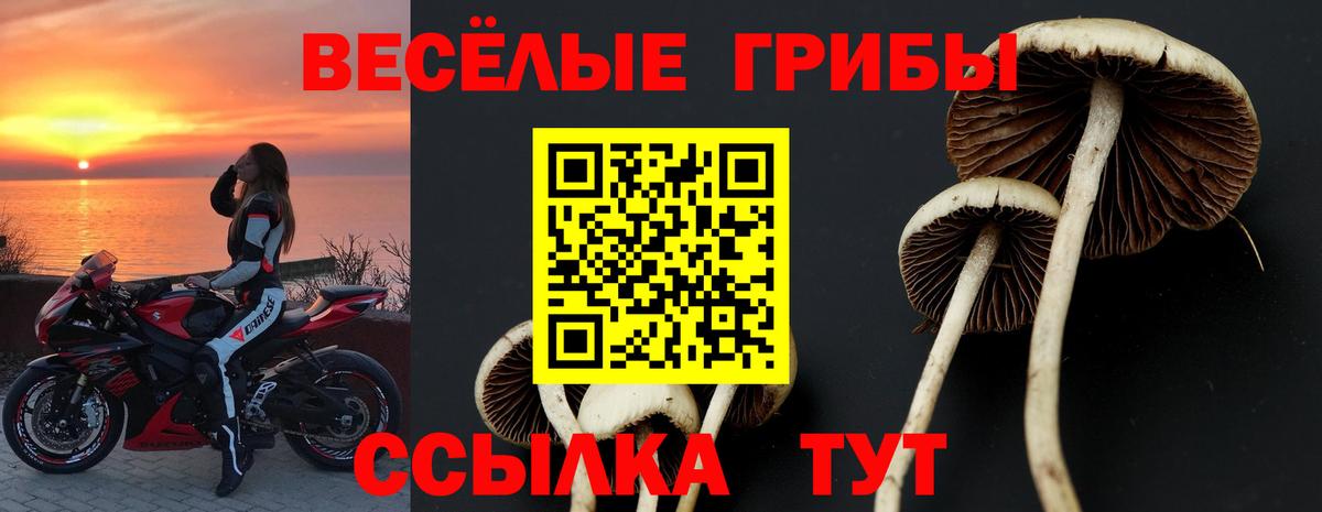 Галлюциногенные грибы мицелий Каменск-Шахтинский